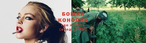 гашик Белоозёрский