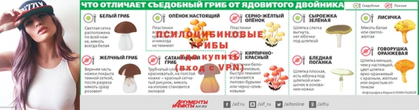 сатива Белокуриха