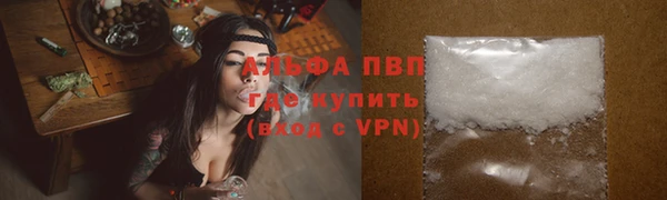 сатива Белокуриха