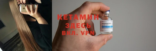 сатива Белокуриха