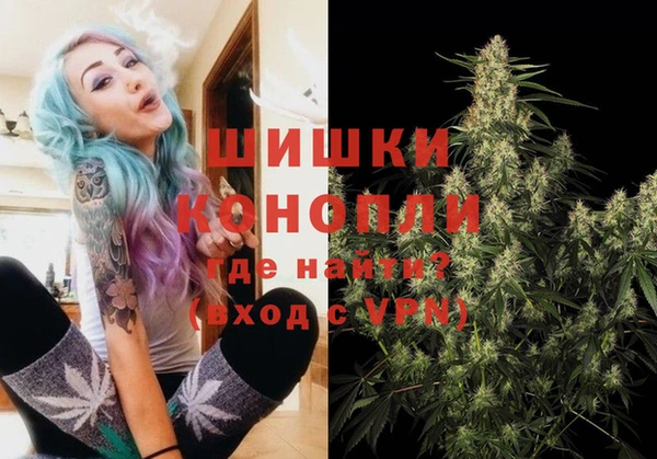 сатива Белокуриха