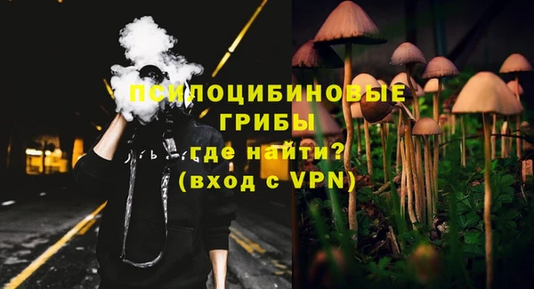 сатива Белокуриха