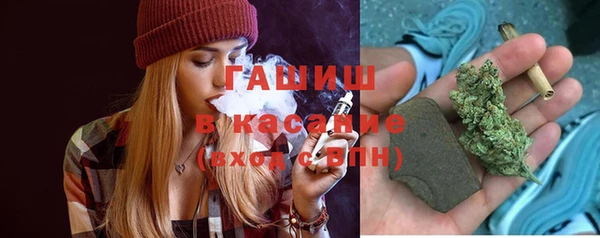 сатива Белокуриха