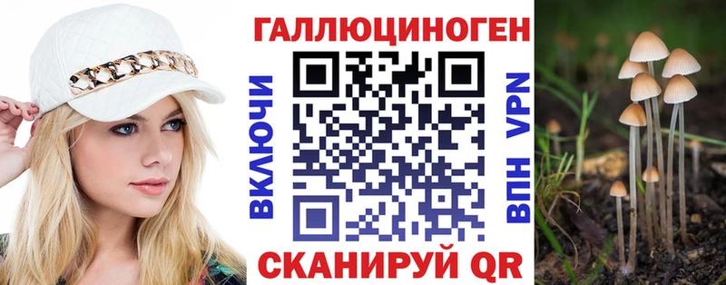 наркота Горячий Ключ Псилоцибиновые грибы Magic Shrooms