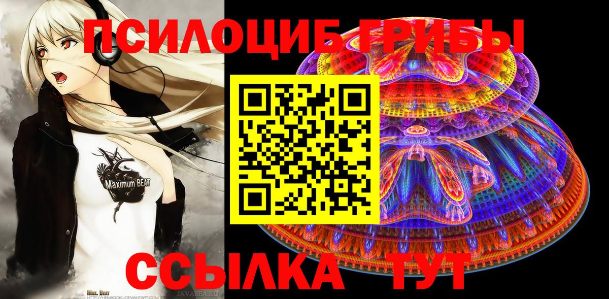 Псилоцибиновые грибы Cubensis Горячий Ключ