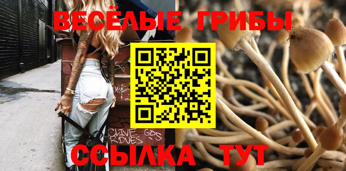 Галлюциногенные грибы мухоморы Горячий Ключ