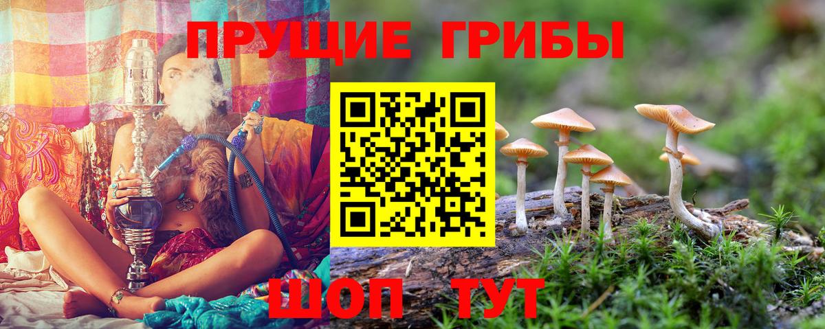 Cocaine Горячий Ключ